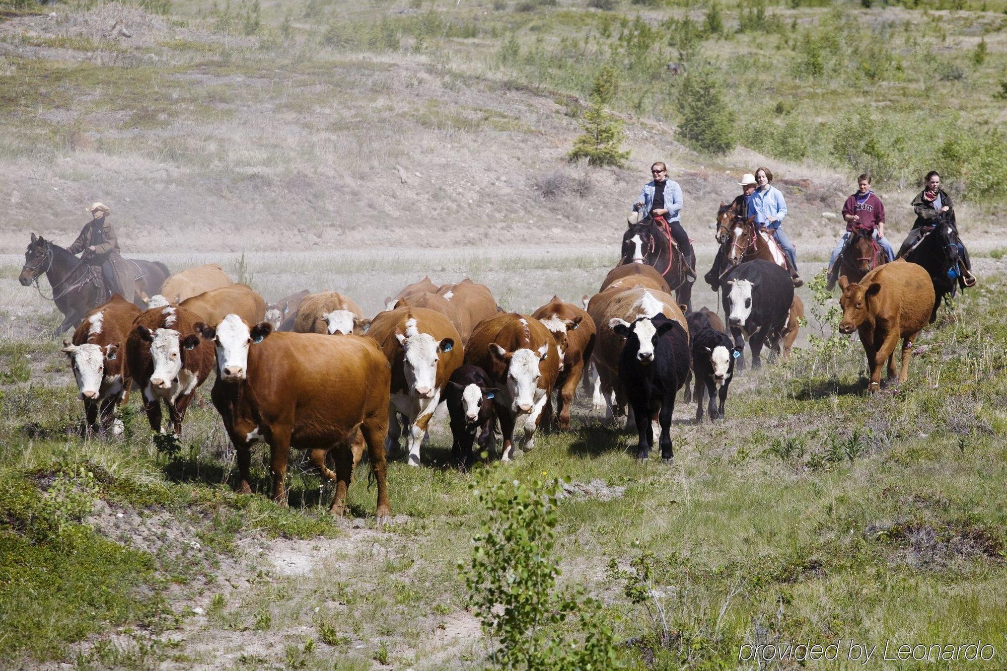 Echo Valley Ranch And Spa Clinton 外观 照片